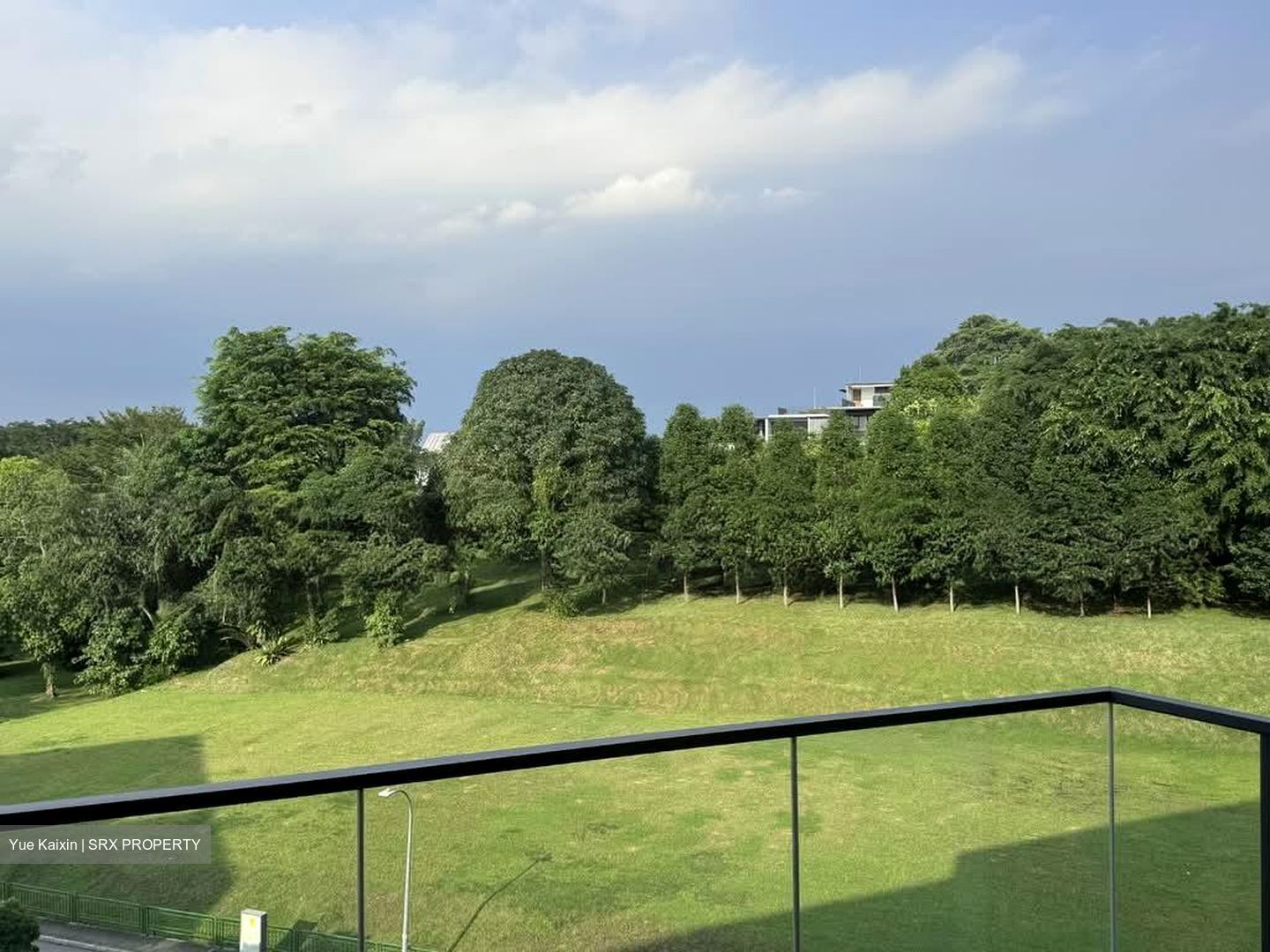 Fourth Avenue Residences (D10), Apartment #558339291